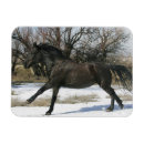 Search for equestrian seasonal cards Wild