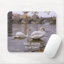 Search for prague mouse mats River