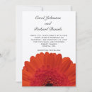 Search for gerber daisies invitations Orange