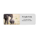 Search for africa return address labels Animal
