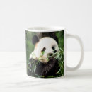 Search for giant bear mugs Bamboo