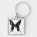 Search for butterfly butterfly key rings Pretty