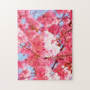 Search for japanese cherry blossoms puzzles Flowers