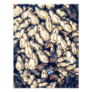 Search for mussel shell Ocean