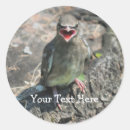Search for baby birds stickers For kids
