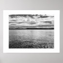Search for otters photography Ocean