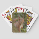 Search for squirrel playing cards Photograph
