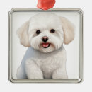 Search for bichon christmas tree decorations White