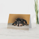 Search for pinscher cards Black