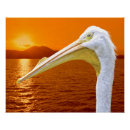 Search for corfu posters Nature