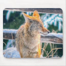 Search for jackal mouse mats Animal lovers