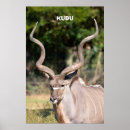 Search for antelopes art Animal
