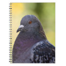 Search for pigeon notebooks Nature