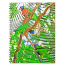 Search for lory Parrots