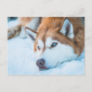 Search for breckenridge colorado postcards Winter