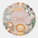 Search for wild one magnets Lion