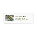 Search for deep sea return address labels Fishing
