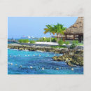 Search for cozumel postcards Tropical