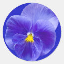 Search for pansy stickers Blue