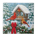 Search for cardinal tiles Snow
