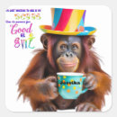 Search for orangutan stickers Monkey