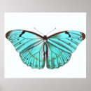 Search for vintage butterfly posters Illustration
