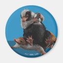 Search for beast magnets Baby niffler