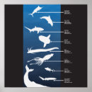 Search for school frame posters College