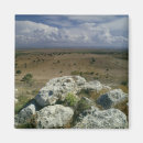 Search for trois magnets Turkey