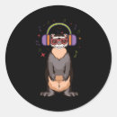 Search for ferret stickers Weasel