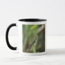Search for dragonfly mugs Brown