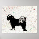 Search for tibetan terrier posters Puppy