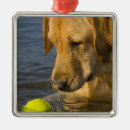 Search for ripples christmas tree decorations Water