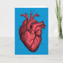 Search for anatomical heart cards Illustration