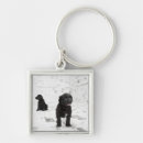 Search for bizarre key rings Humour