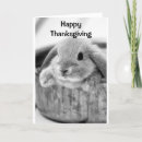 Search for adult thanksgiving cards Friend