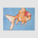 Search for oranda Orange
