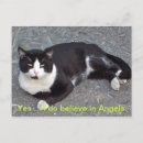 Search for black cat with your quotes postcards Animal