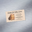Search for sitter magnets Simple