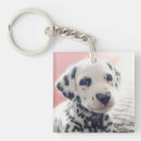 Search for dalmatian key rings Funny