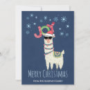 Search for llama christmas cards Cute