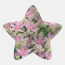 Search for botany star stickers Pink