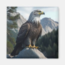 Search for birds of prey magnets Eagle