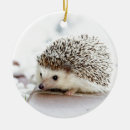 Search for tiny small christmas tree decorations Nature