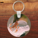 Search for grasshopper key rings Nature