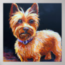Search for silky posters Australian silky terrier
