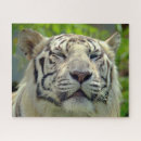 Search for white tiger puzzles Feline