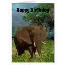 Search for african birthday cards Animal