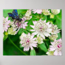 Search for wasp art Close up