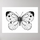 Search for large butterfly posters Black